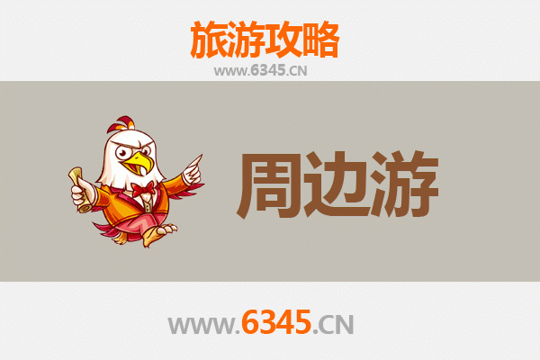 昌江王下乡秘境探幽：黎族文化深度体验与自然奇观之旅